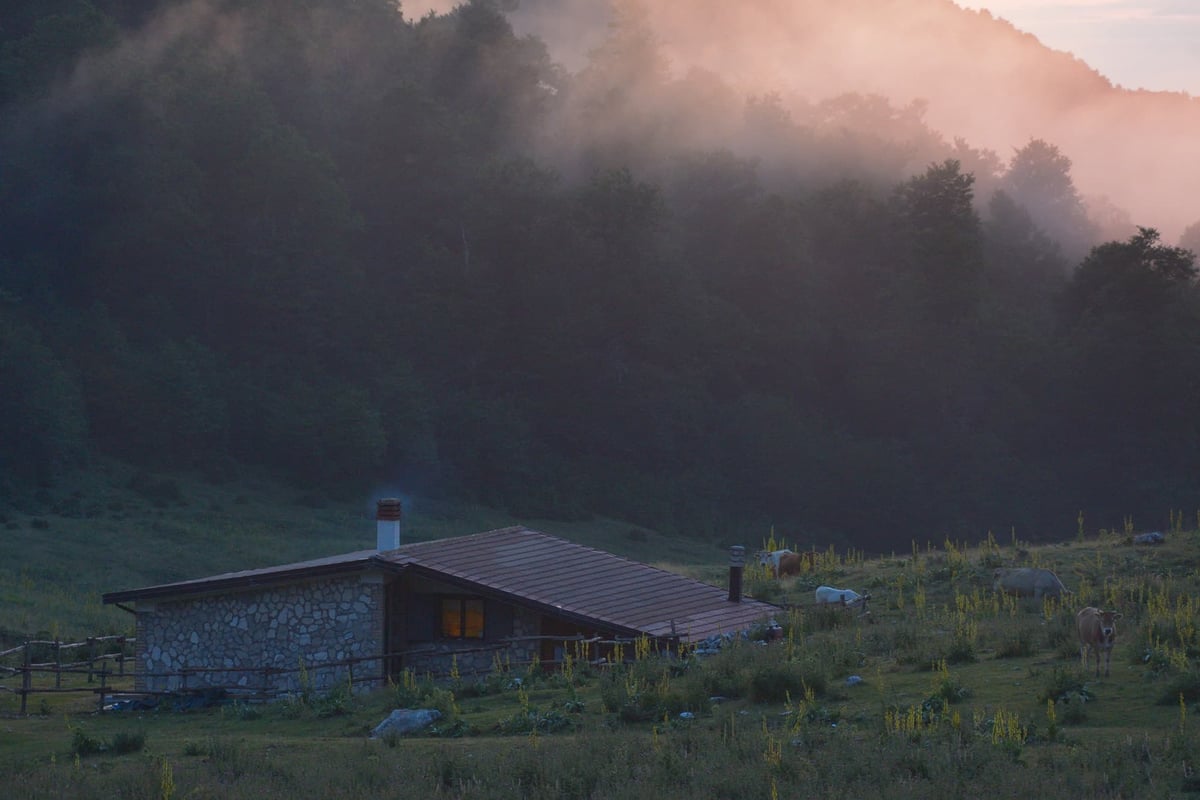 Eco Tourism: The Luxury Eco-Lodges Leading the Way